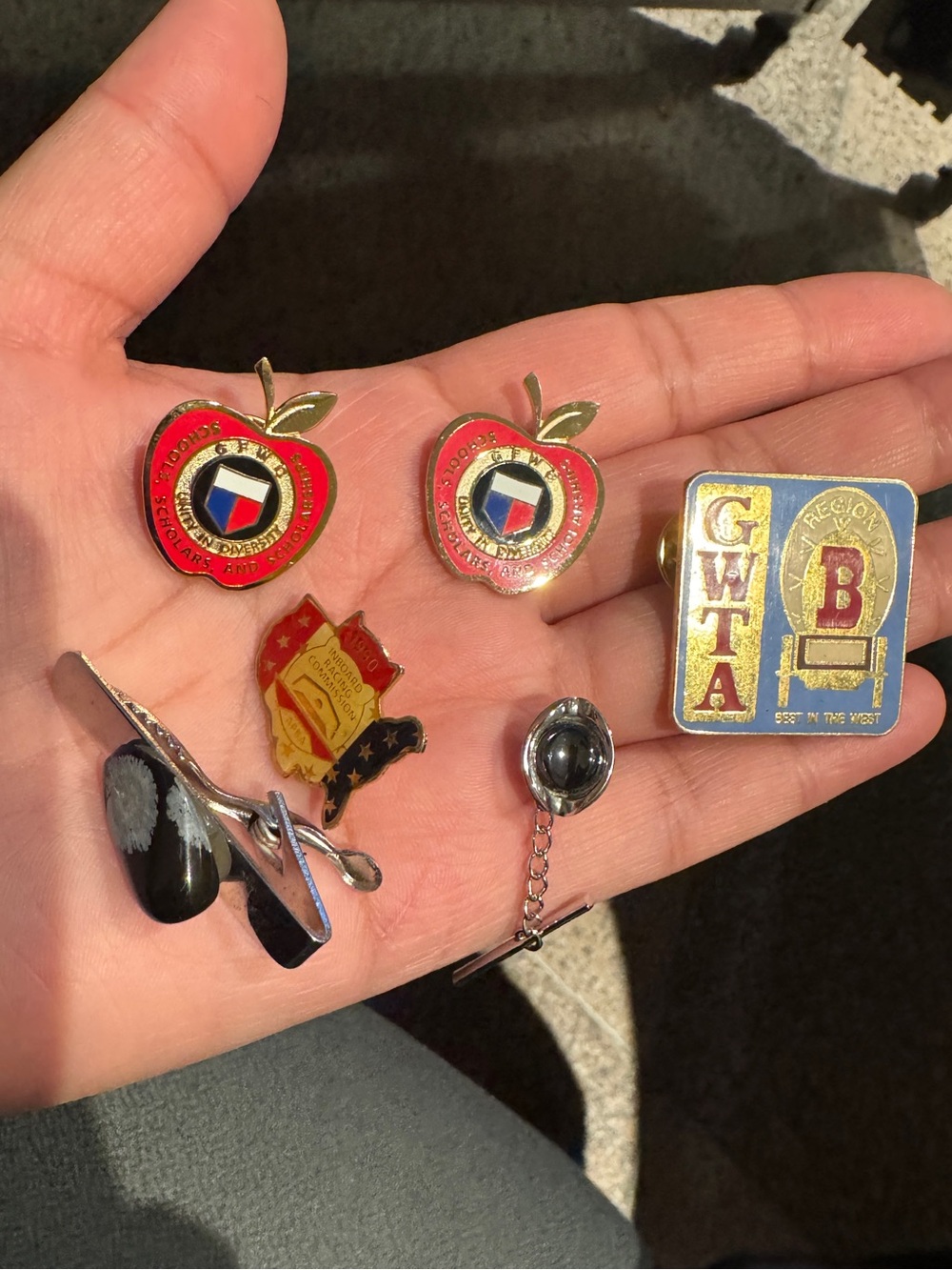 Vintage Enamel Pin Lot of 6